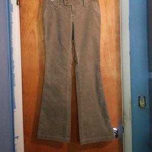 Gap outlet green cords